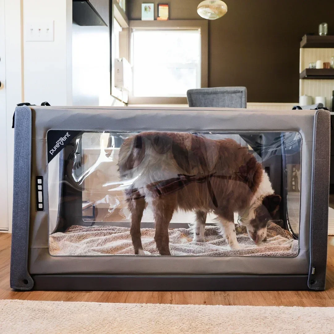 PureVent Pet Oxygen Chamber – At Home Veterinary-Grade Oxygen Therapy For Pets - Image 16