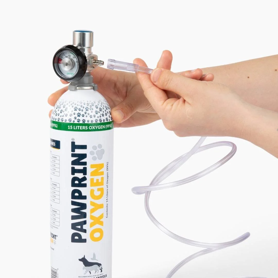 Dog Rescue Oxygen Kit – Rescue Oxygen Therapy and Transport for Pets - Image 5