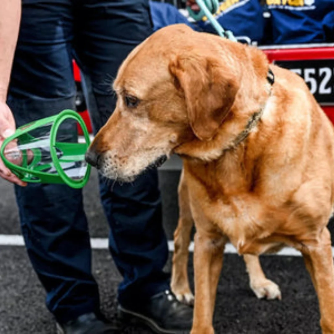 K9 Rescue Oxygen Kit – Rescue Oxygen Supply for First Responders - Image 15