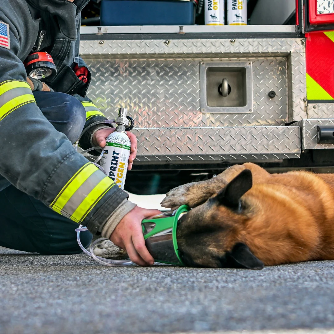 K9 Trauma First Aid Kit – Emergency Medical Kit with Oxygen & Bleed Control for Working Dogs - Image 8