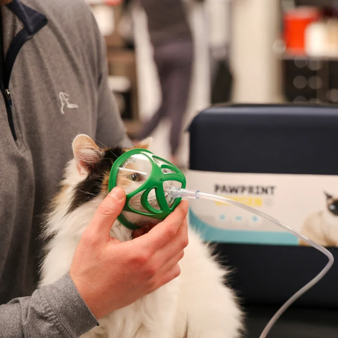 Cat Rescue Oxygen Kit – Rescue Oxygen Therapy and Transport for Pets - Image 3