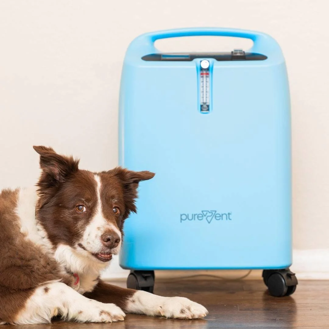 PureVent 5L Medical-Grade Pet Oxygen Concentrator – Continuous Oxygen Therapy for Dogs Cats and Pets - Image 4