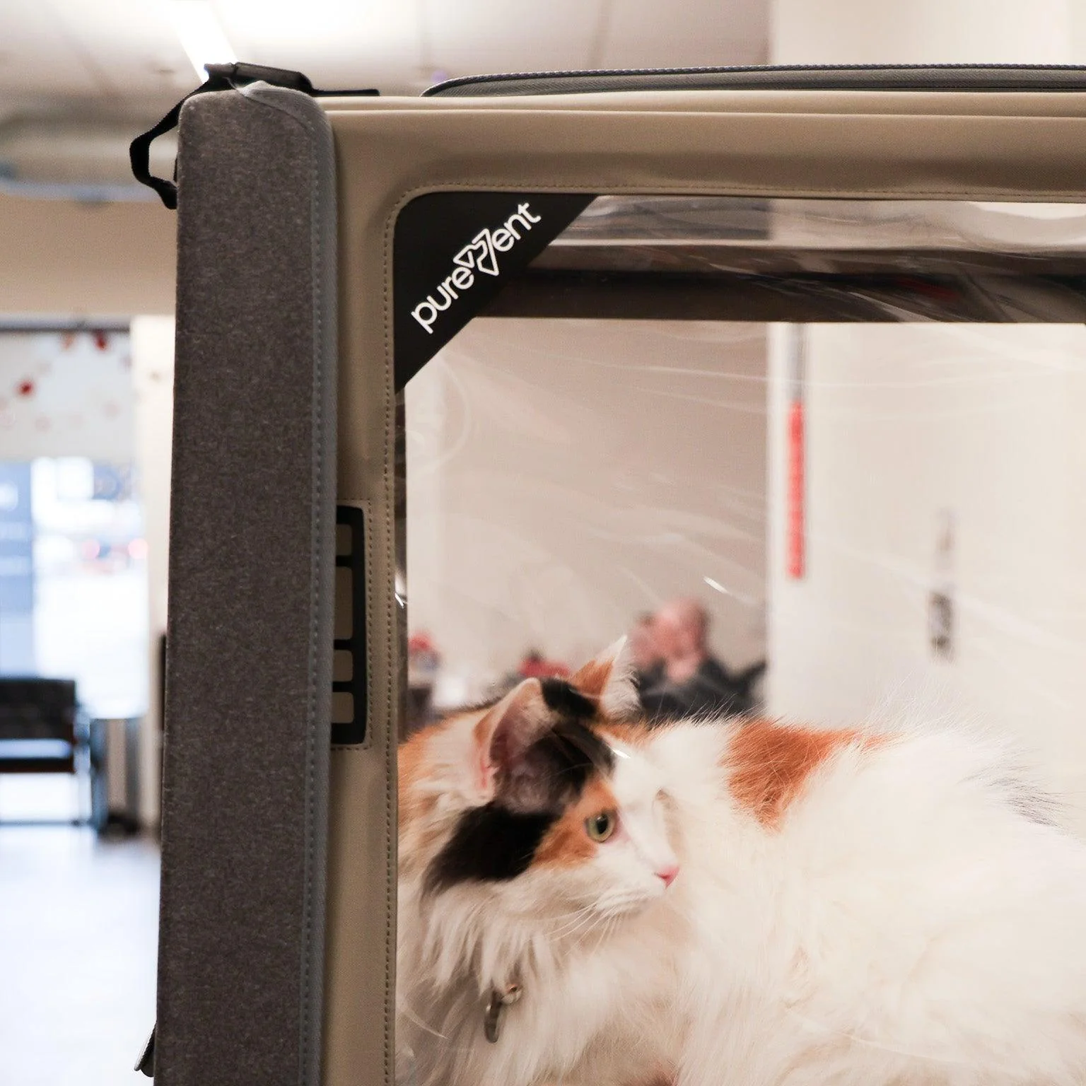 PureVent Pet Oxygen Chamber – At Home Veterinary-Grade Oxygen Therapy For Pets - Image 3