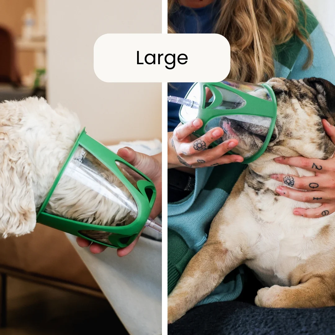 PureVent Pet Oxygen Mask for Dogs, Cats, Animals – Veterinary-Grade Oxygen Therapy - Image 4